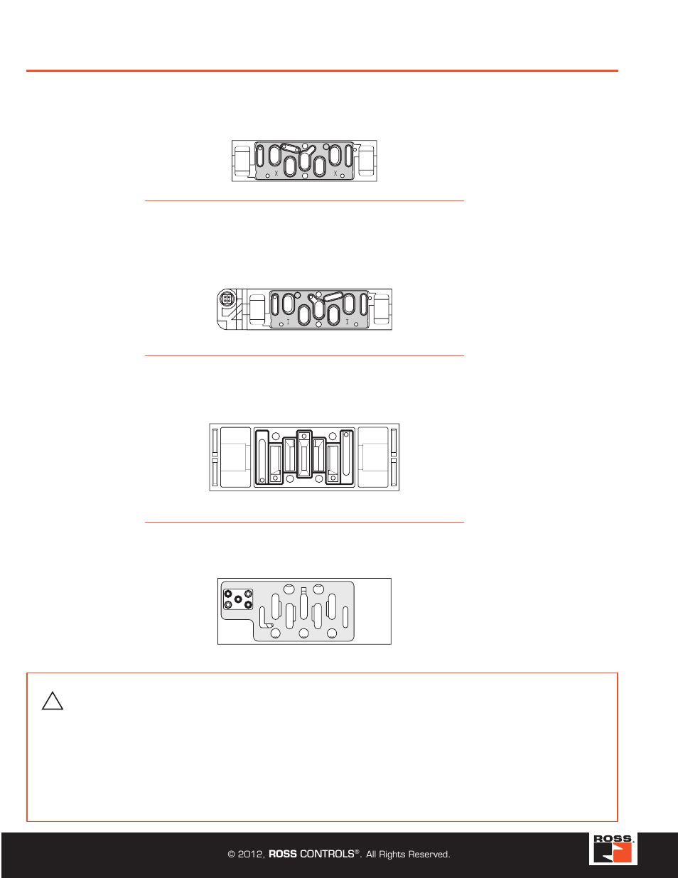 Standard definitions, Warning | Ross Controls TURCK MODULAR I User Manual | Page 4 / 48