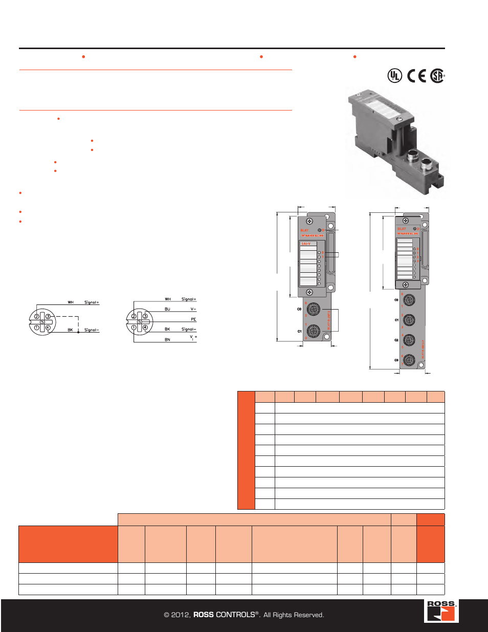 2 analog input modules, Turck modular industrial i/o system bl 67 | Ross Controls TURCK MODULAR I User Manual | Page 40 / 48