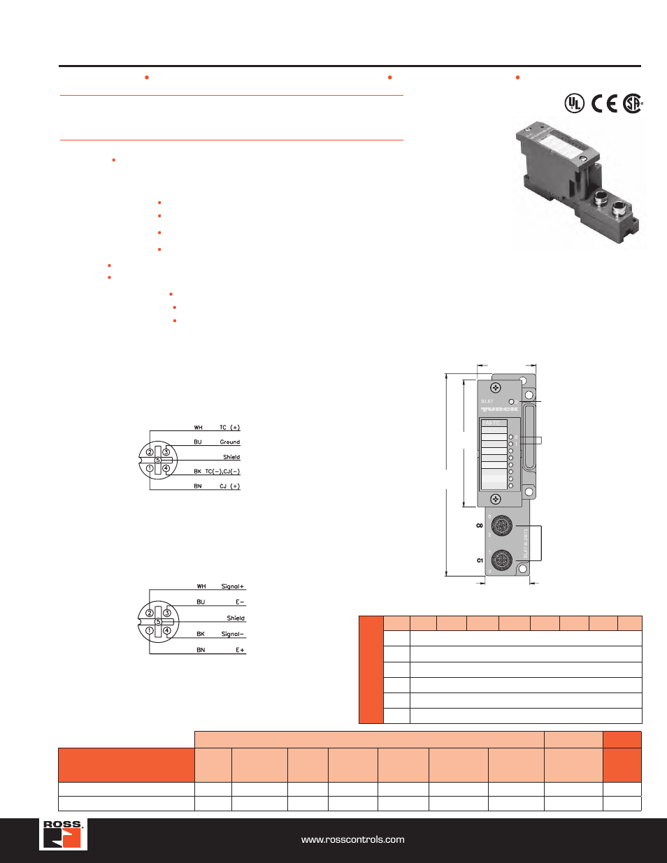 2 temperature input module, Turck modular industrial i/o system bl 67 | Ross Controls TURCK MODULAR I User Manual | Page 41 / 48