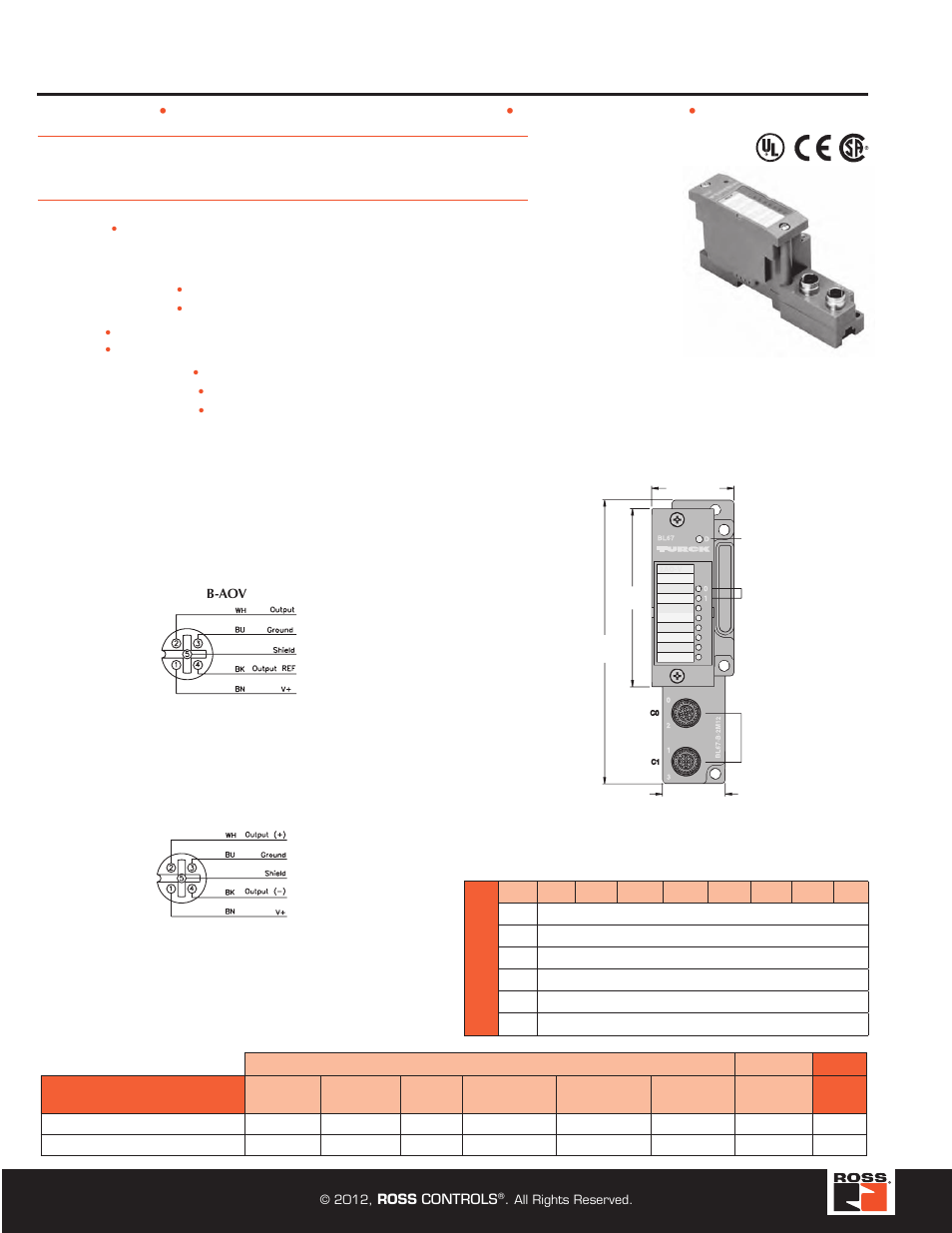 2 analog output modules, Turck modular industrial i/o system bl 67 | Ross Controls TURCK MODULAR I User Manual | Page 42 / 48