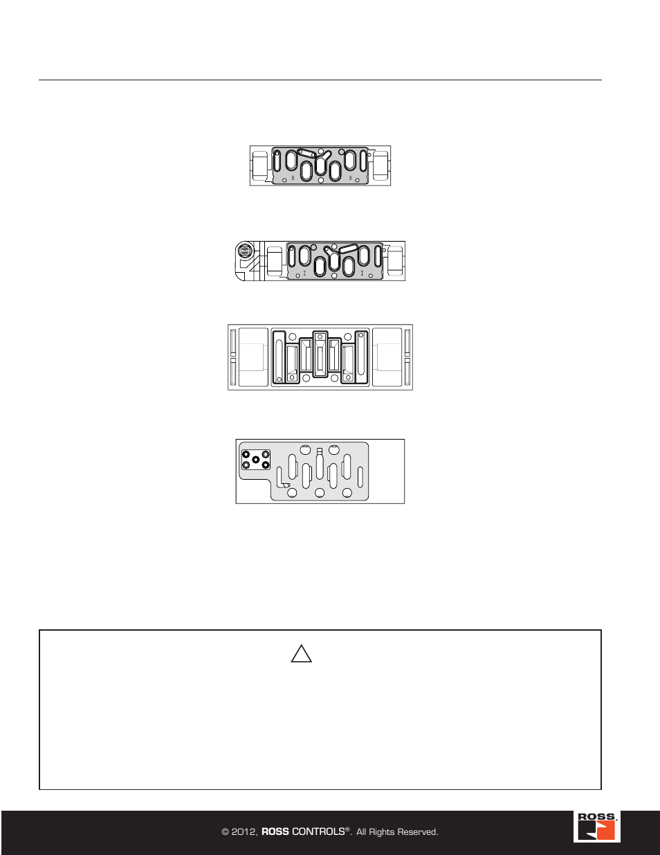 Standard definitions, Warning | Ross Controls ROSS MODULAR I User Manual | Page 2 / 56