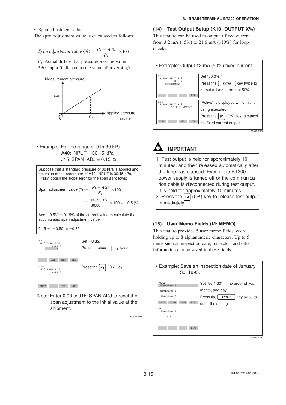 14) test output setup, 15) user memo fields, 14)test output setup -15 (15)user memo fields -15 | Important, Ϫ a40 p | Yokogawa EJA530A User Manual | Page 46 / 67