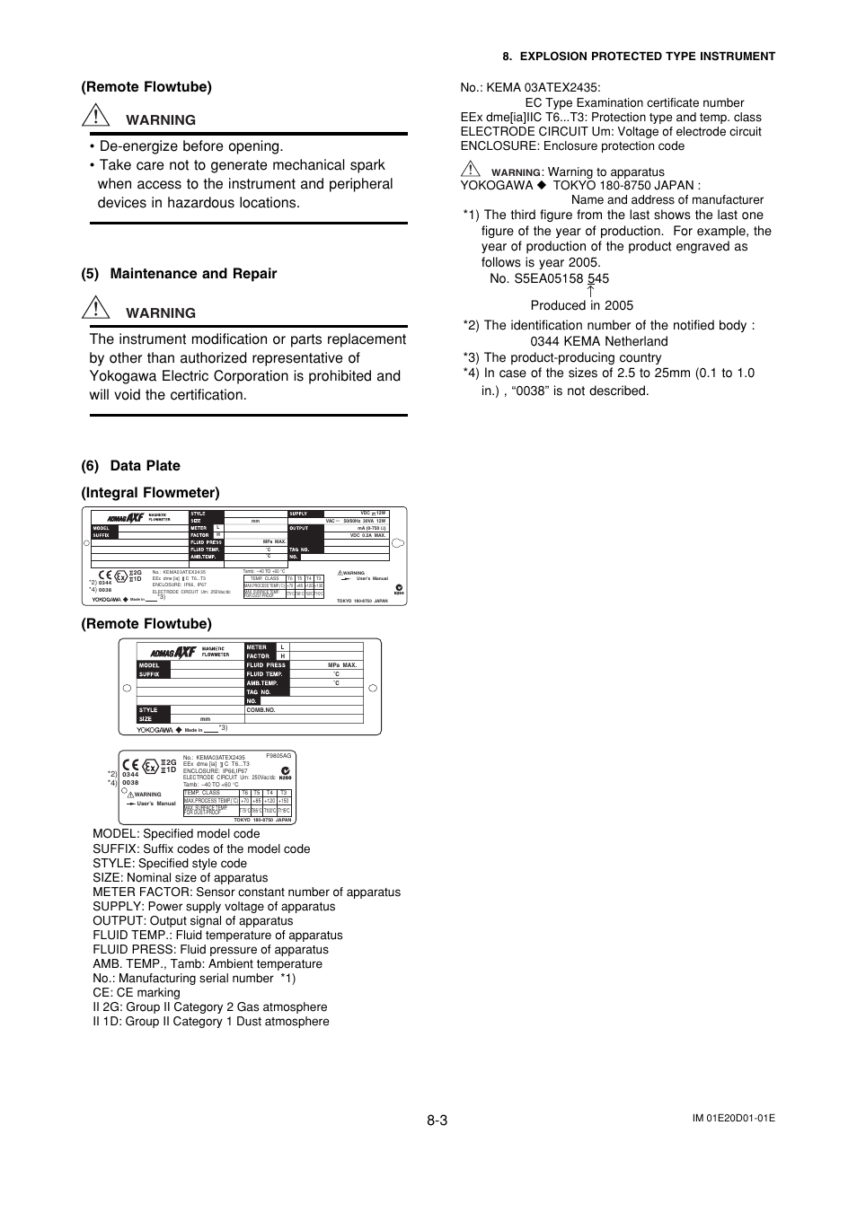 Remote flowtube), Warning, Explosion protected type instrument | Yokogawa ADMAG AXF User Manual | Page 119 / 133