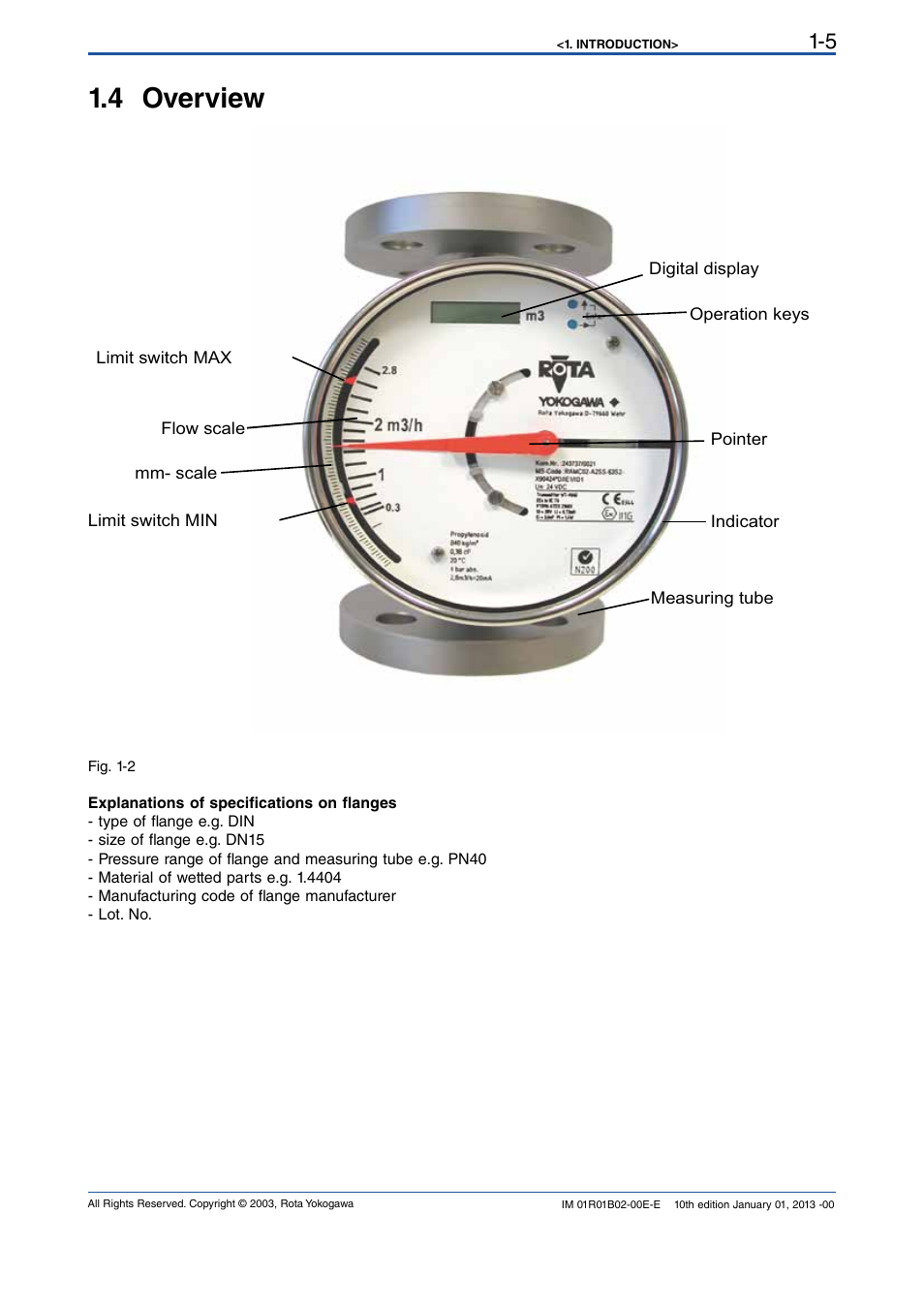 4 overview, 4 overview -5 | Yokogawa RAMC User Manual | Page 13 / 136