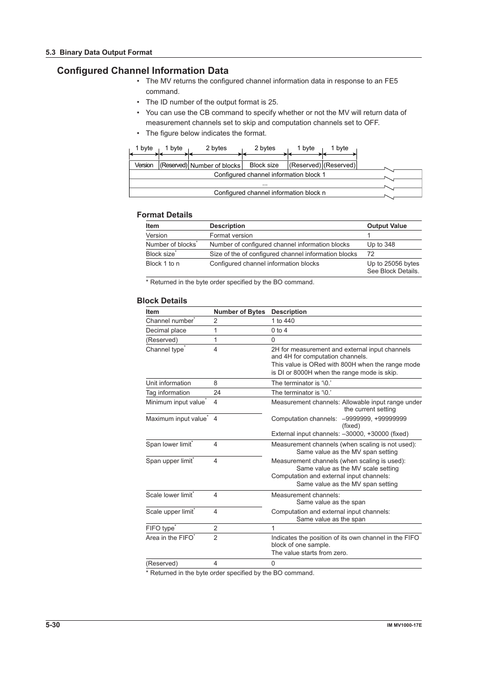 Configured channel information data, Format details, Block details | Yokogawa Button Operated MV2000 User Manual | Page 149 / 178