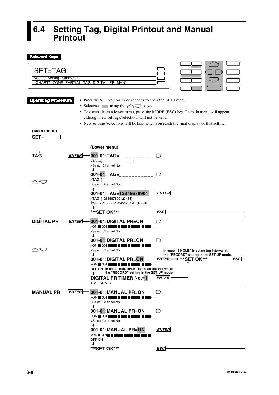 Set=tag, 01:tag, 01:digital pr=on | Digital pr timer no.=1, 01:manual pr=on, Set ok*** tag digital pr manual pr, Set ok | Yokogawa DR240 User Manual | Page 106 / 255