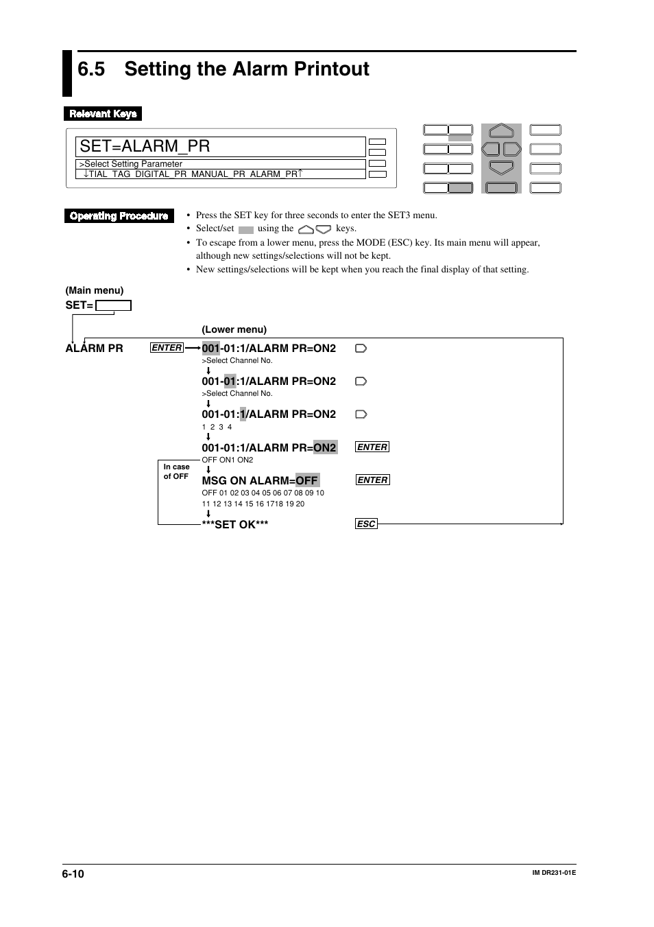 5 setting the alarm printout, Setting the alarm printout -10, Set=alarm_pr | 01:1/alarm pr=on2, Msg on alarm=off, Set ok*** alarm pr | Yokogawa DR240 User Manual | Page 108 / 255