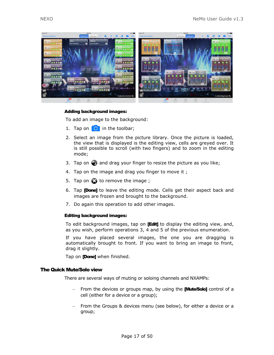 Adding background images, Editing background images, The quick mute/solo view | The quick mute/solo view ) | Nexo NEMO User Manual | Page 17 / 50