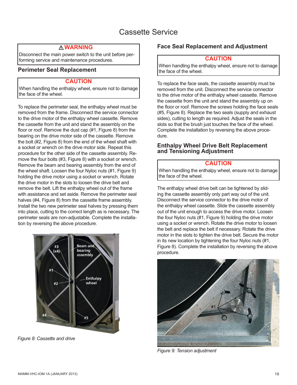Cassette service | Mammoth 800 to 5500 CFM: Dedicated Outdoor Air System with Enthalpy Wheels (VHC) User Manual | Page 19 / 48