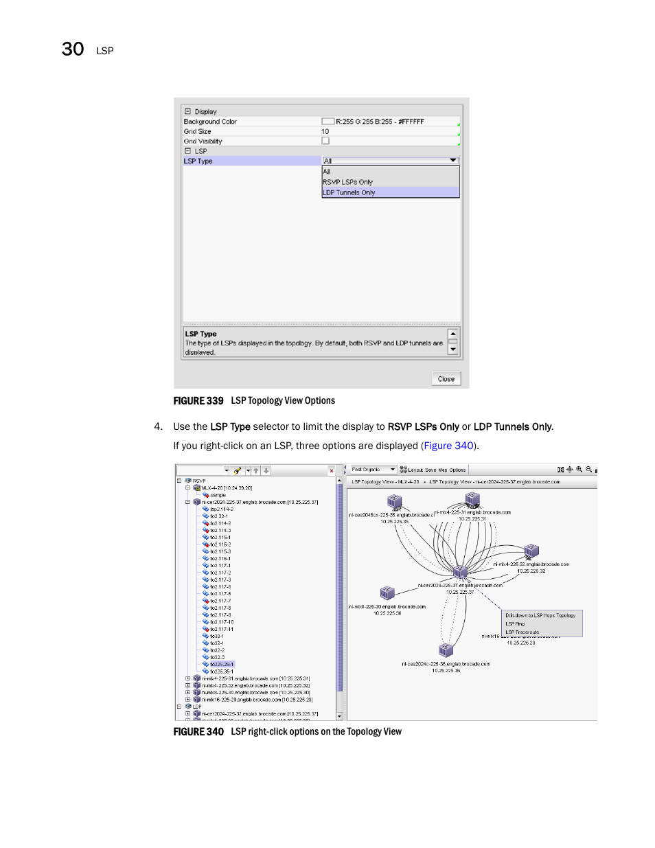Brocade Network Advisor IP User Manual v12.1.0 User Manual | Page 962 / 1770