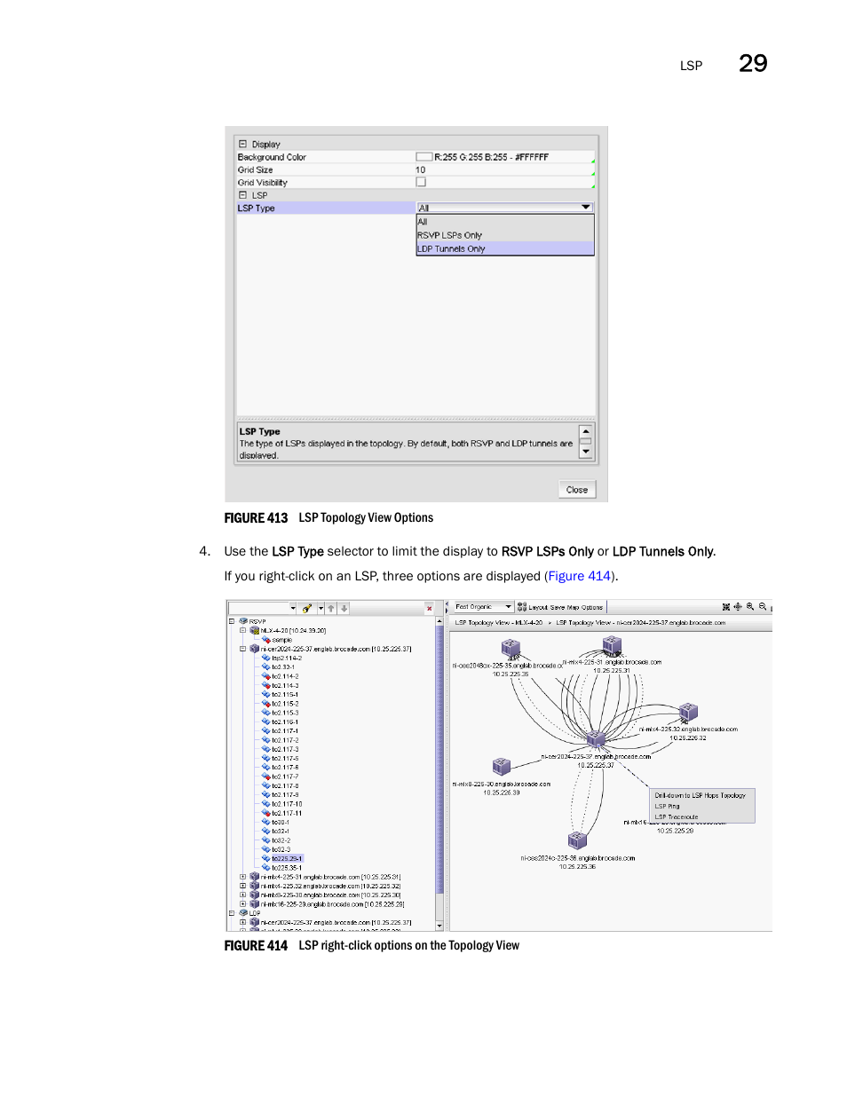 Brocade Network Advisor IP User Manual v12.3.0 User Manual | Page 1049 / 1928