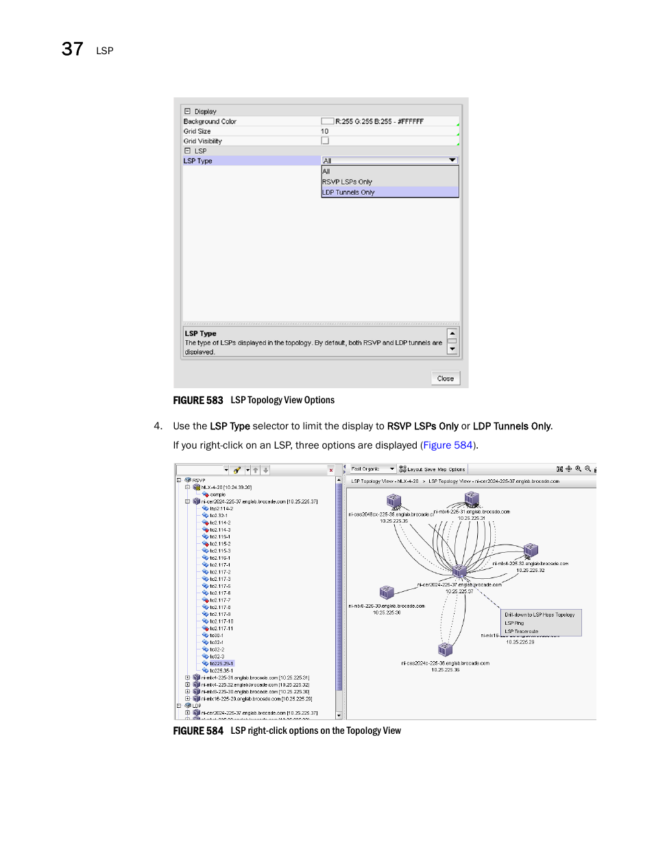 Brocade Network Advisor SAN + IP User Manual v12.1.0 User Manual | Page 1393 / 2389