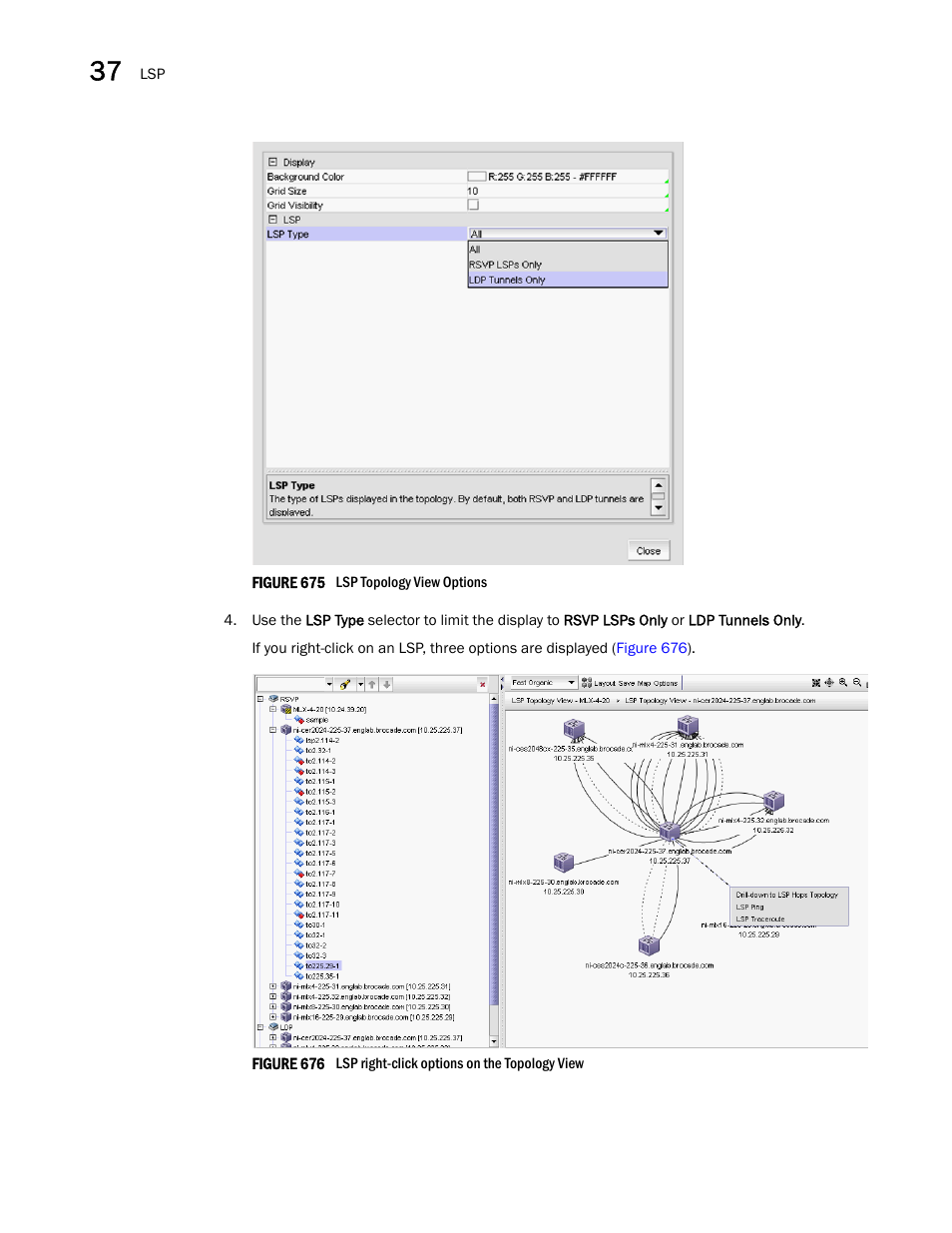 Brocade Network Advisor SAN + IP User Manual v12.3.0 User Manual | Page 1558 / 2702