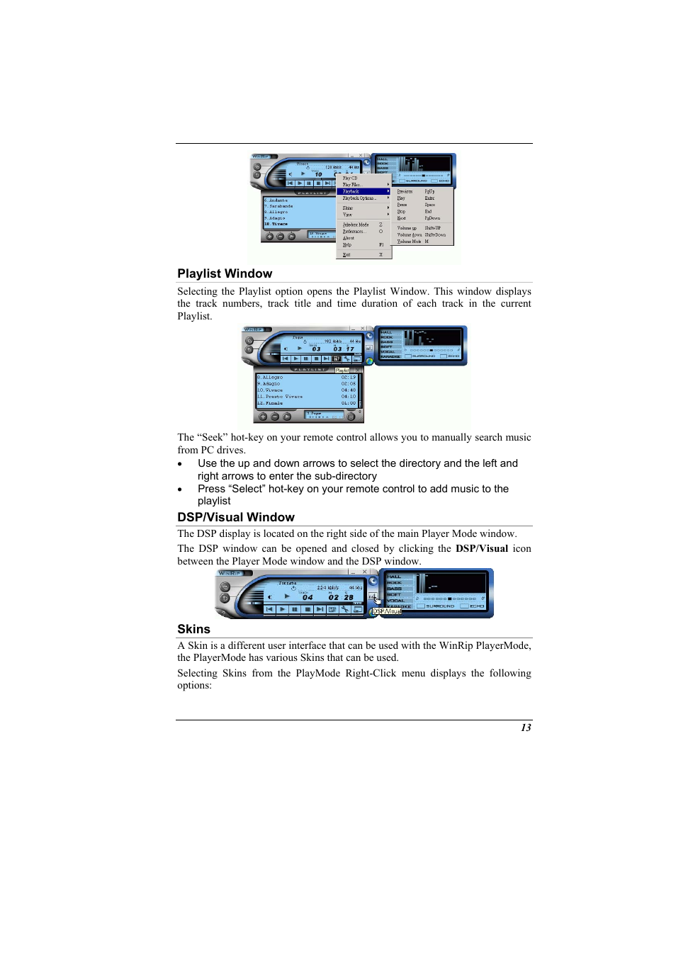 Playlist window, Dsp/visual window, Skins | Elitegroup G900 Remote control User Manual | Page 13 / 18