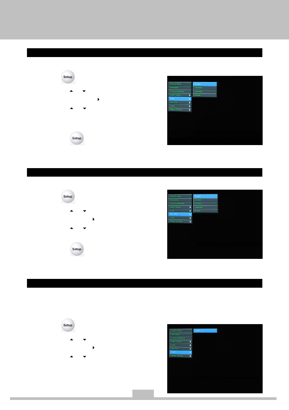 Audio, Subtitles, Changing angles | Elitegroup 259IA3 Instanton User Manual | Page 29 / 36