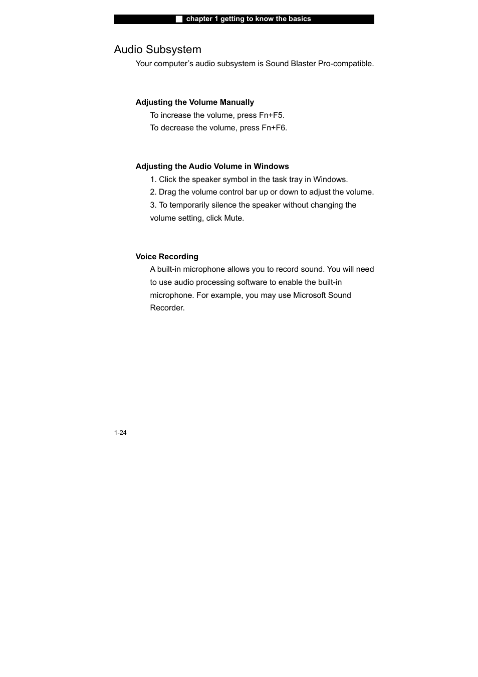 Audio subsystem | Elitegroup X40IIx User Manual | Page 33 / 110