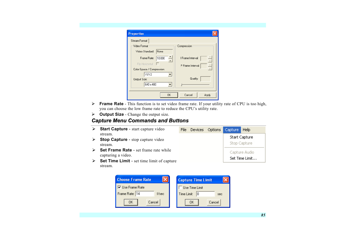 Capture menu commands and buttons | Elitegroup G220 User Manual User Manual | Page 93 / 107