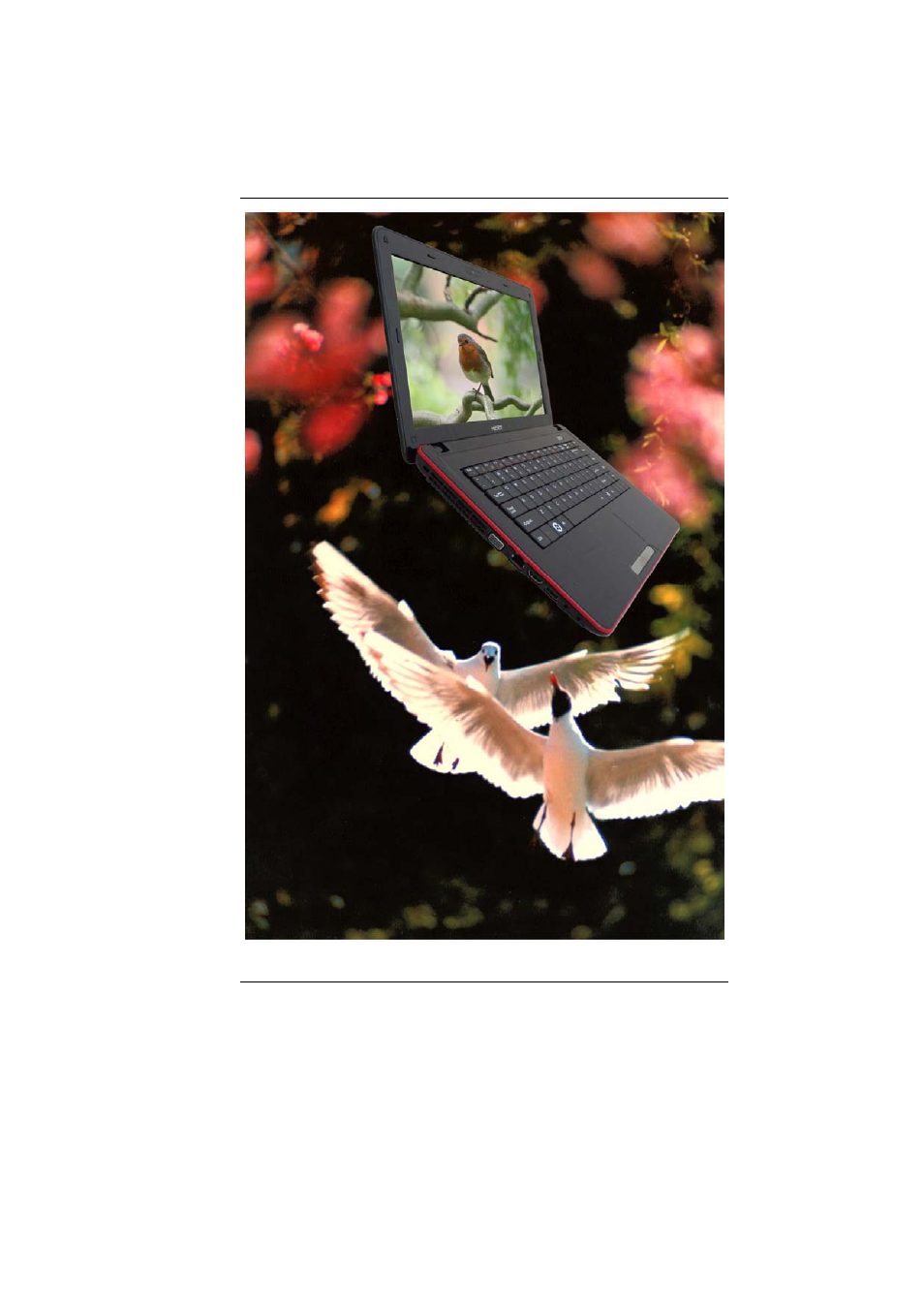Elitegroup H41IA1 User Manual | 63 pages