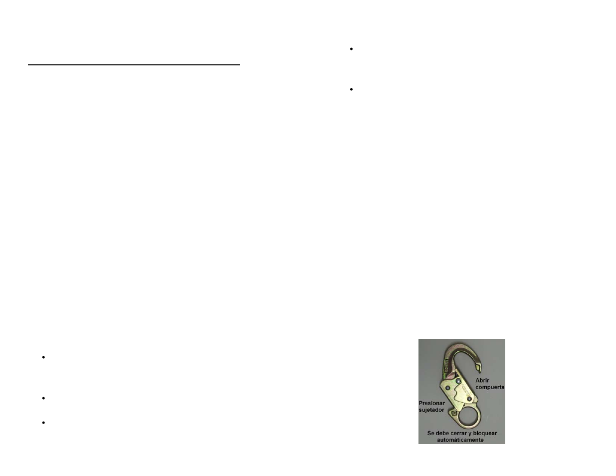 FallTech Shock-Absorbing Lanyards (SAL’s) User Manual | Page 48 / 50