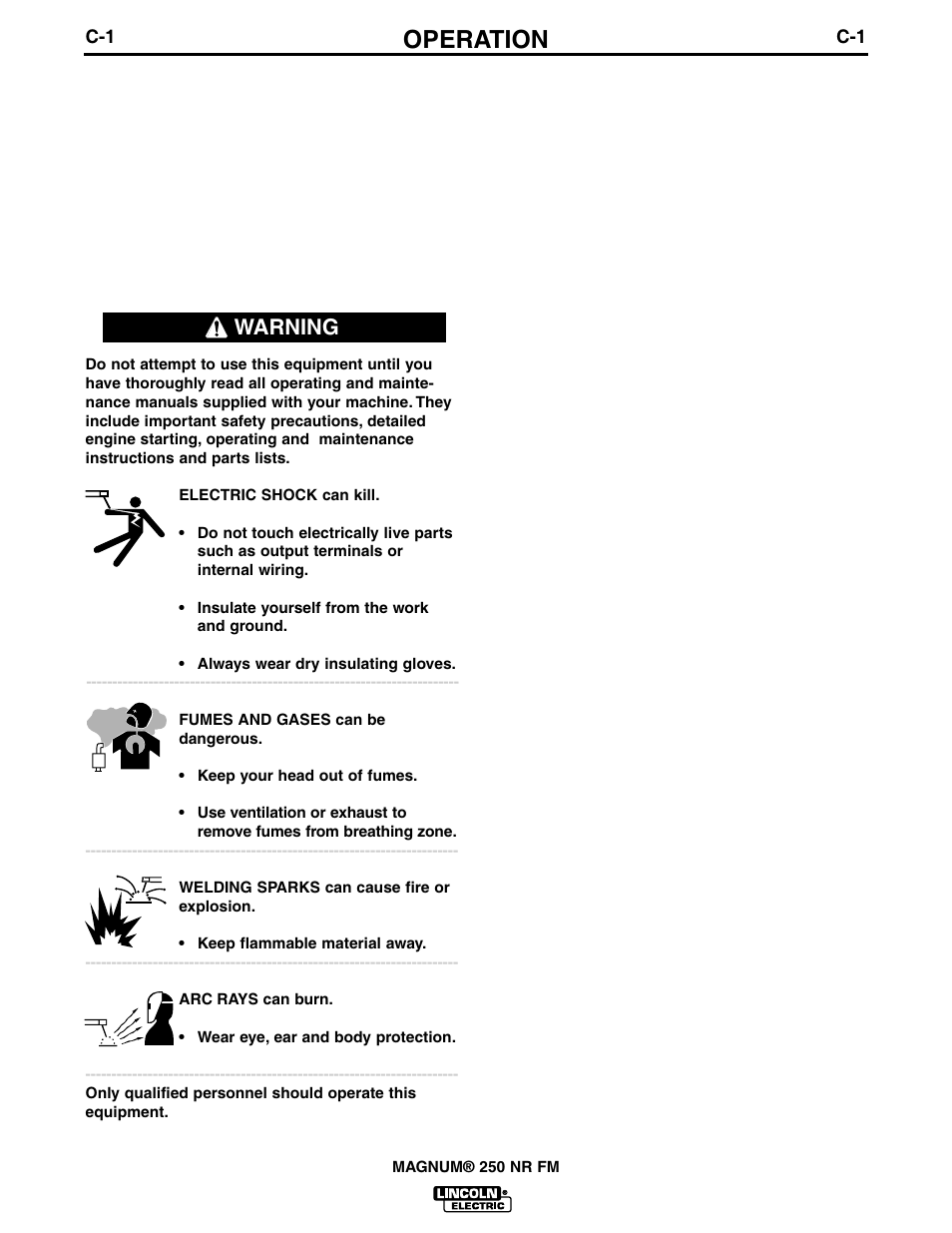 Operation, Electrodes and equipment, Making a weld | Warning | Lincoln Electric IM616 K1614-12 & -13 MAGNUM 250 NR FM Fast-Mate Gun and Cable User Manual | Page 10 / 27