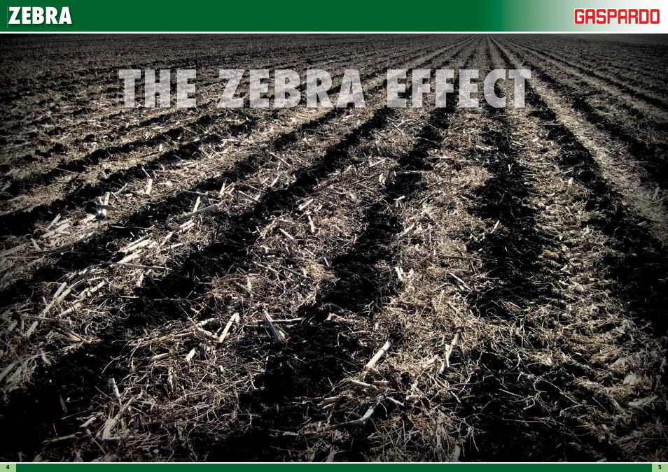 Zebra | Maschio Gaspardo ZEBRA User Manual | Page 3 / 11