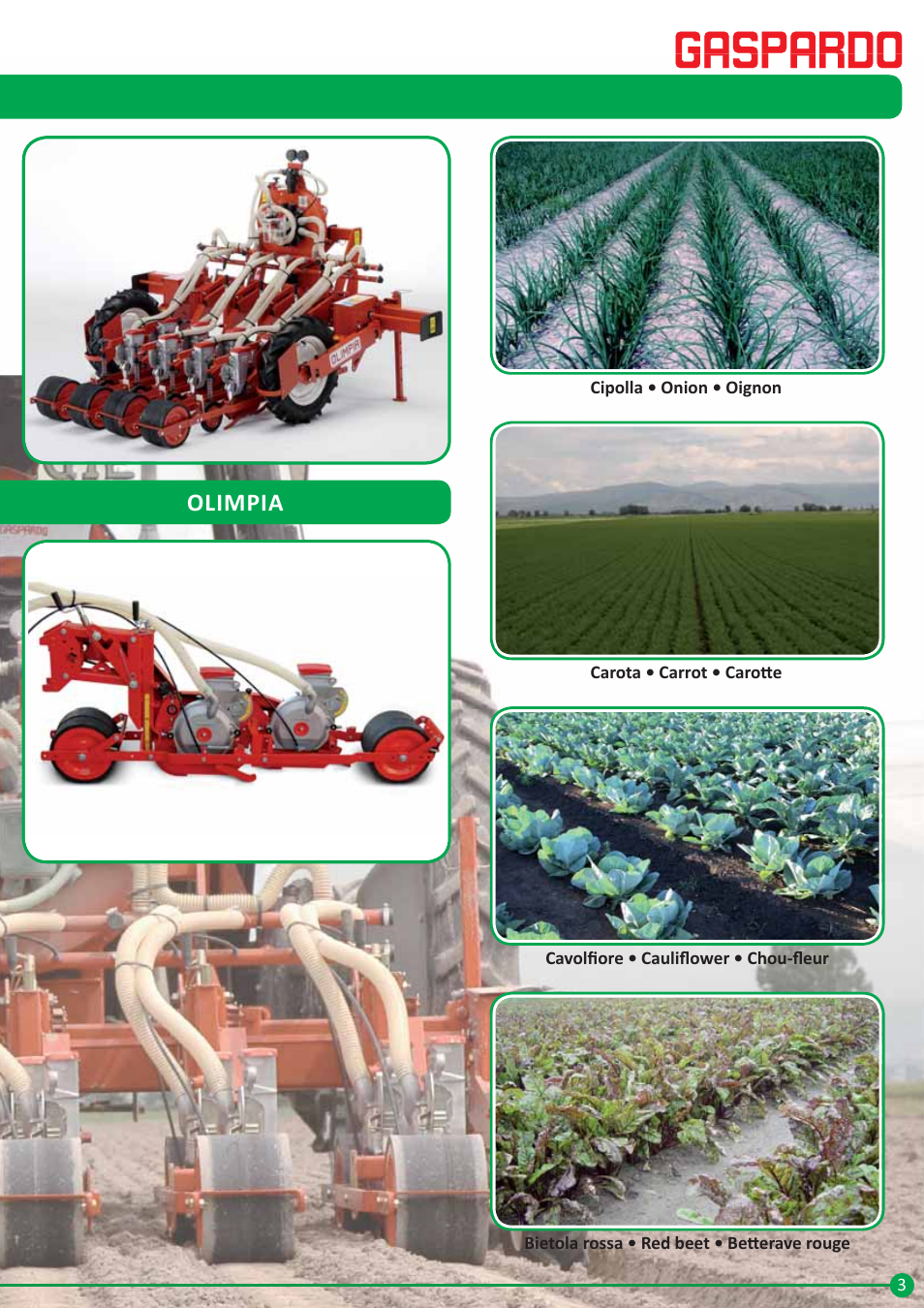 Semoirs pneumatiques pour légumes, Olimpia | Maschio Gaspardo ORIETTA User Manual | Page 3 / 20