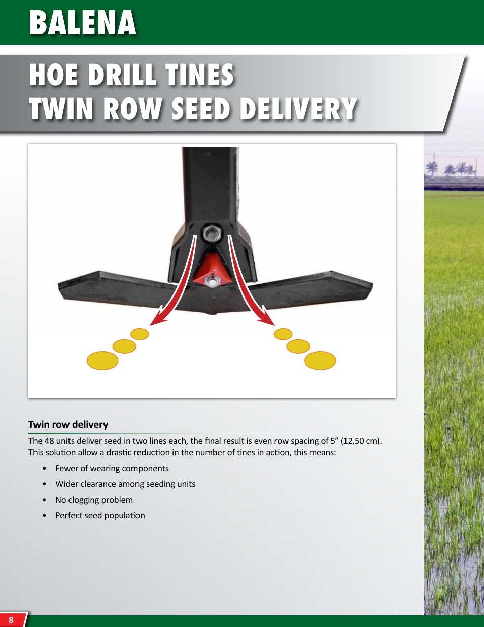 Balena, Hoe drill tines twin row seed delivery | Maschio Gaspardo BALENA User Manual | Page 8 / 24