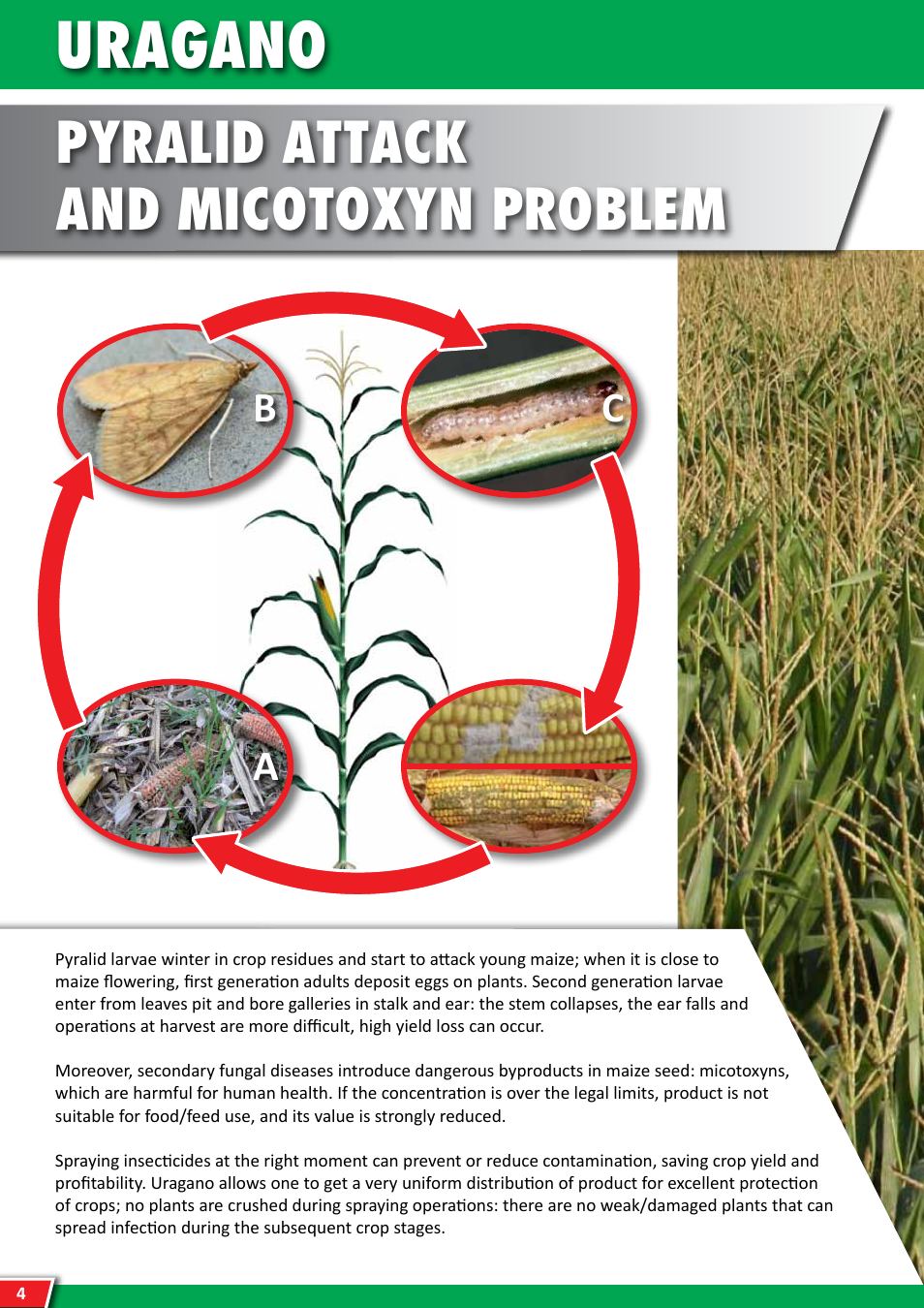 Uragano, Pyralid attack and micotoxyn problem, Da b c | Maschio Gaspardo Uragano 2000 User Manual | Page 4 / 28