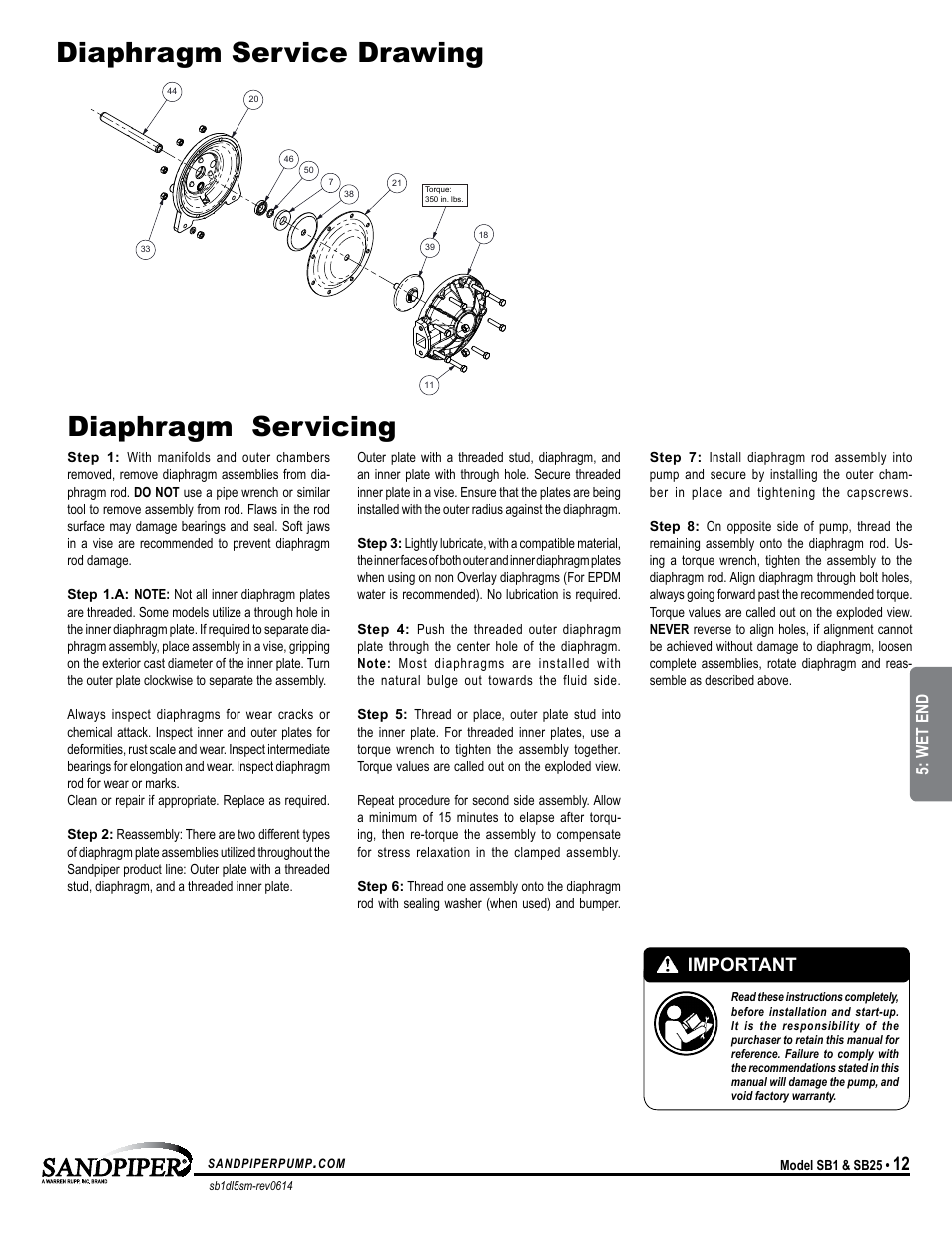 Pilot valve assembly, Diaphragm service drawing, Diaphragm servicing | Important, Wet end | SANDPIPER DSB1 User Manual | Page 15 / 19