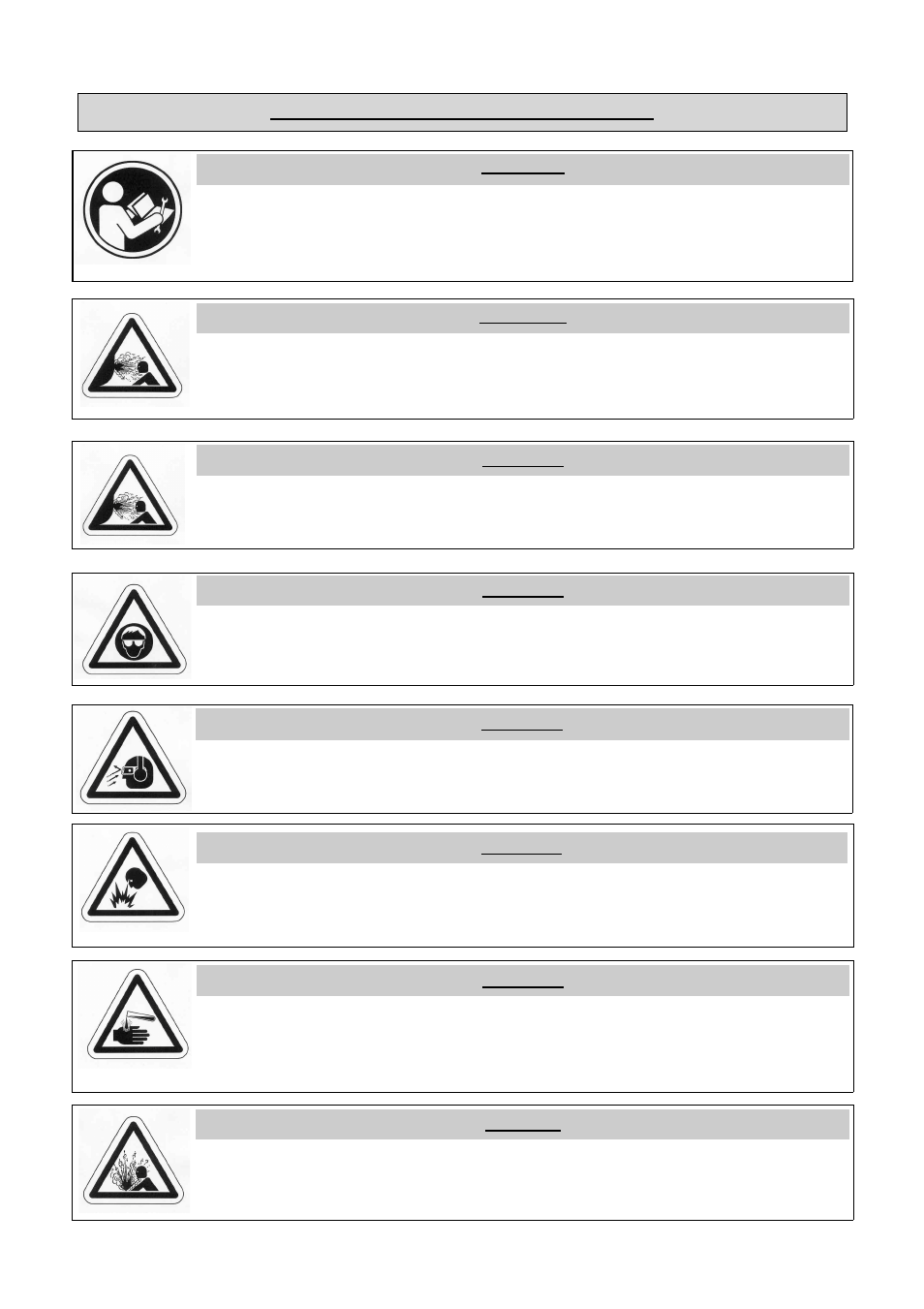Important warnings and safety information | SANDPIPER X25 User Manual | Page 6 / 12