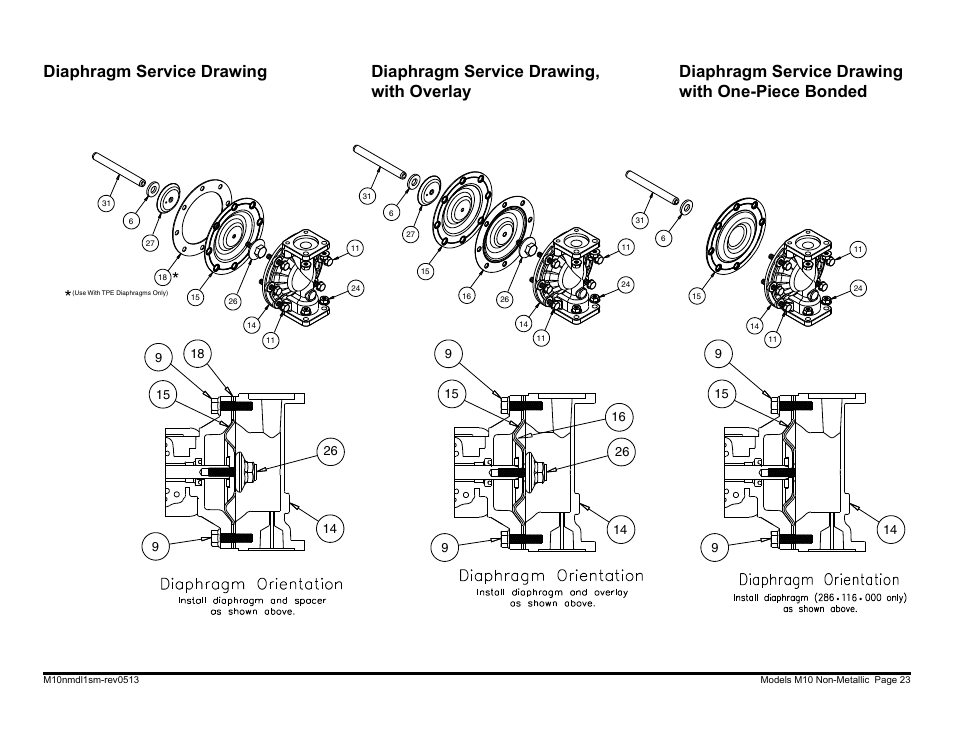 SANDPIPER M10 Non-Metallic User Manual | Page 25 / 30