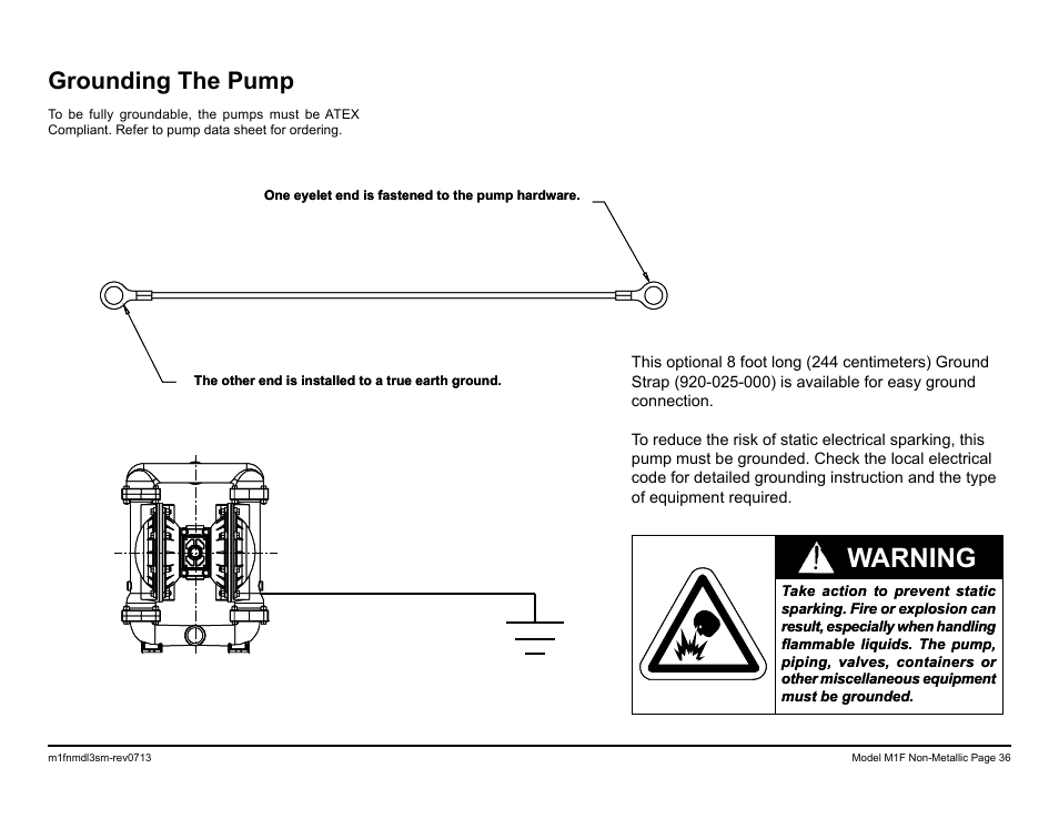 Warning, Grounding the pump | SANDPIPER M1F Non-Metallic User Manual | Page 38 / 41