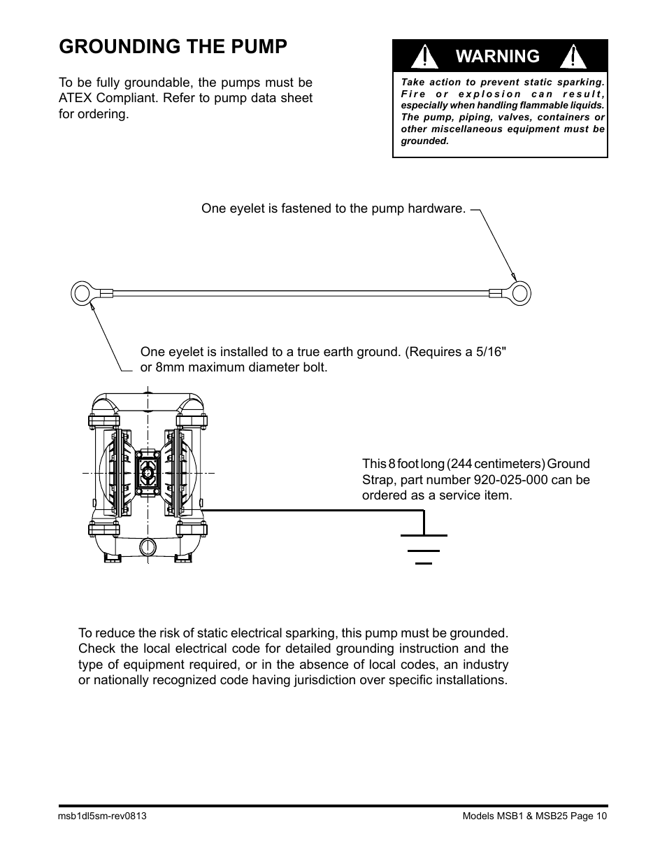 Grounding the pump, Warning | SANDPIPER MSB25 User Manual | Page 12 / 21