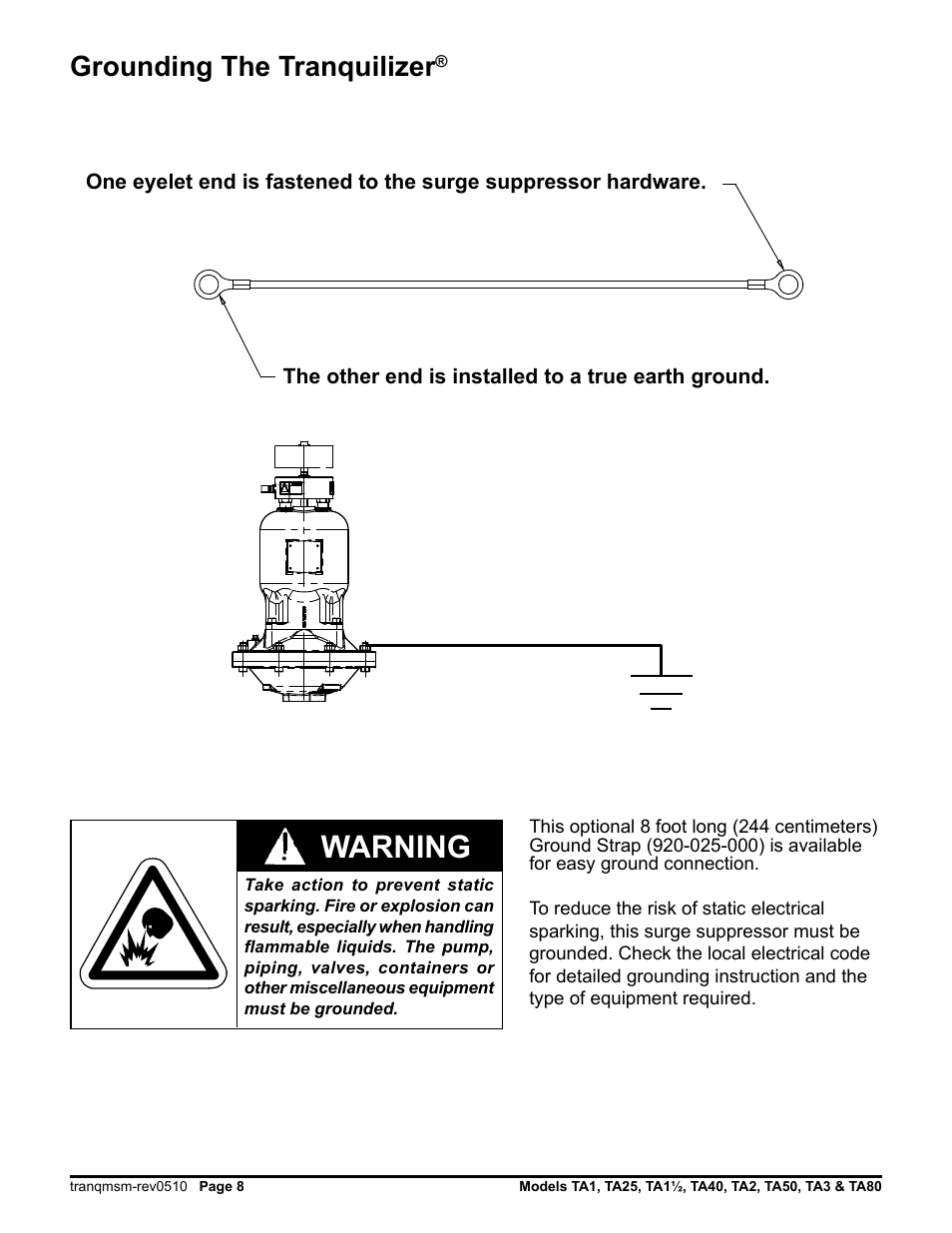Warning, Grounding the tranquilizer | SANDPIPER Tranquilizer TA80 User Manual | Page 10 / 18