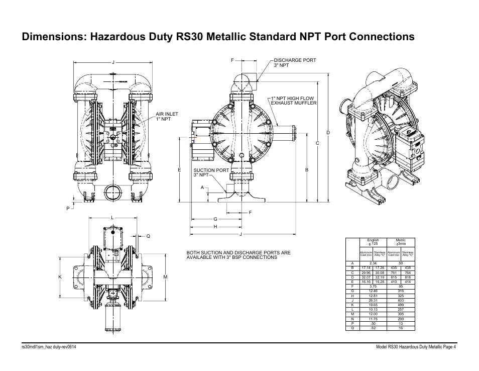 SANDPIPER RS20 Metallic User Manual | Page 6 / 38