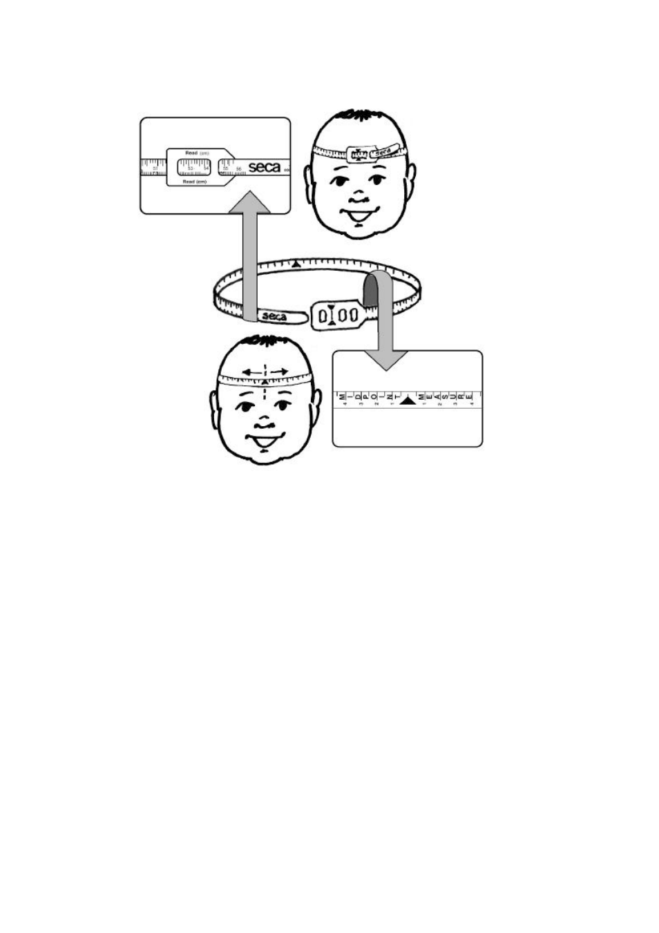 Seca 212 User Manual | 1 page