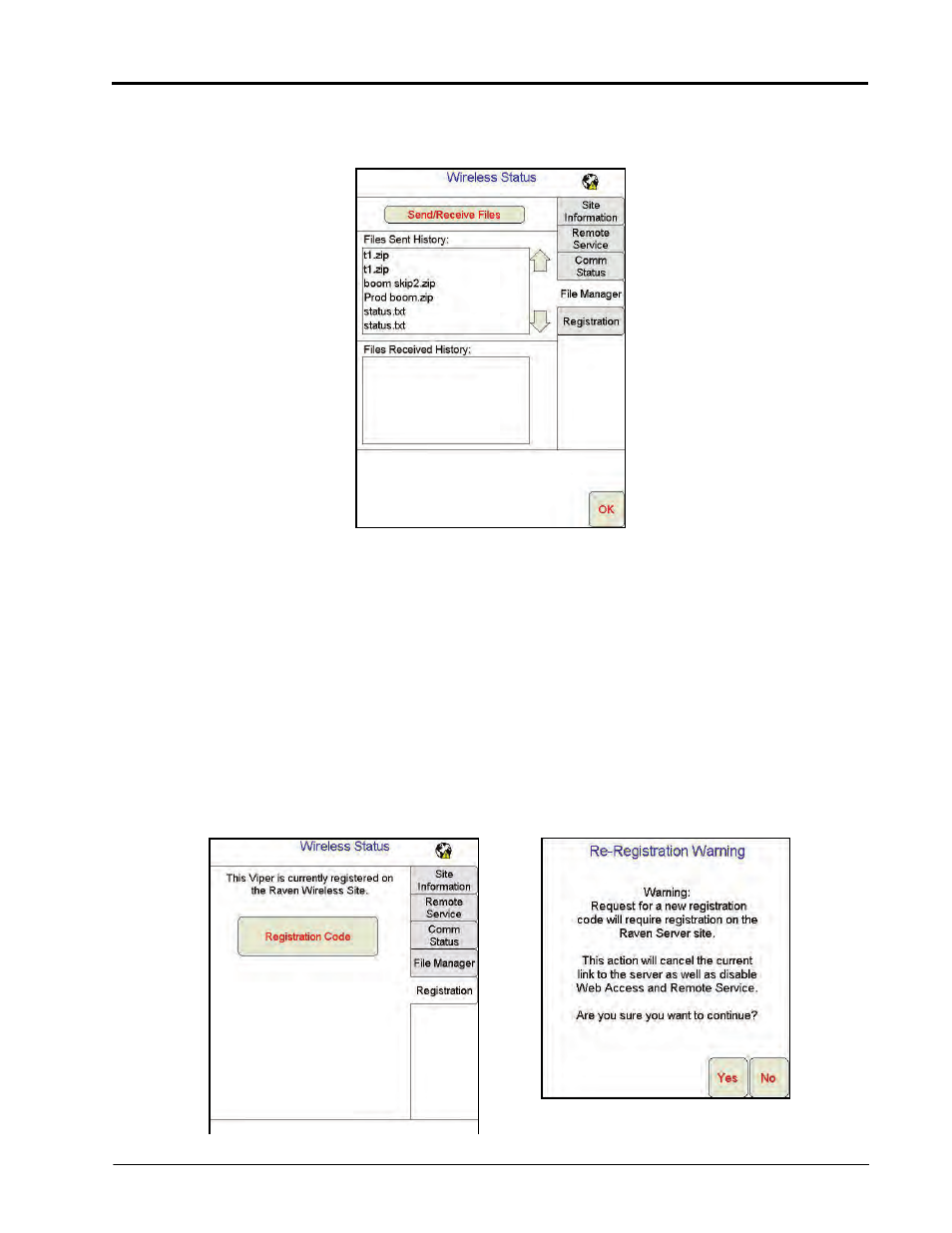 File manager tab, Registration tab | Seed Hawk Raven 2011 User Manual | Page 239 / 248