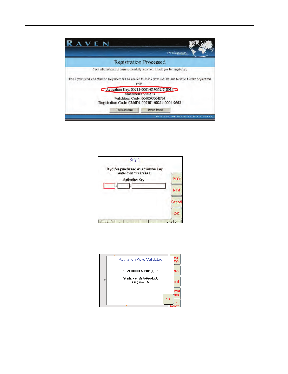 Seed Hawk Raven 2011 User Manual | Page 30 / 248