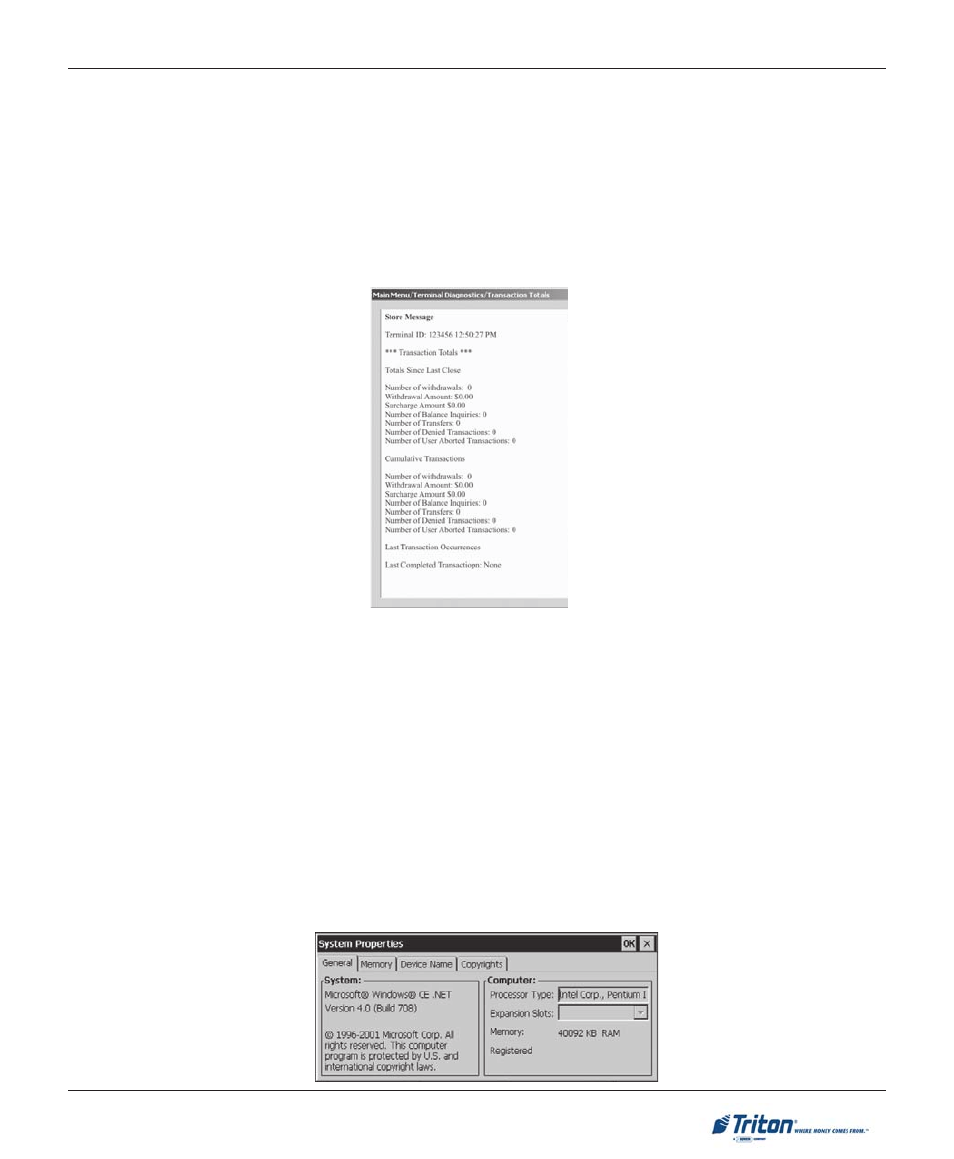 Triton X-SCALE/X2 Configuration Manual User Manual | Page 41 / 419