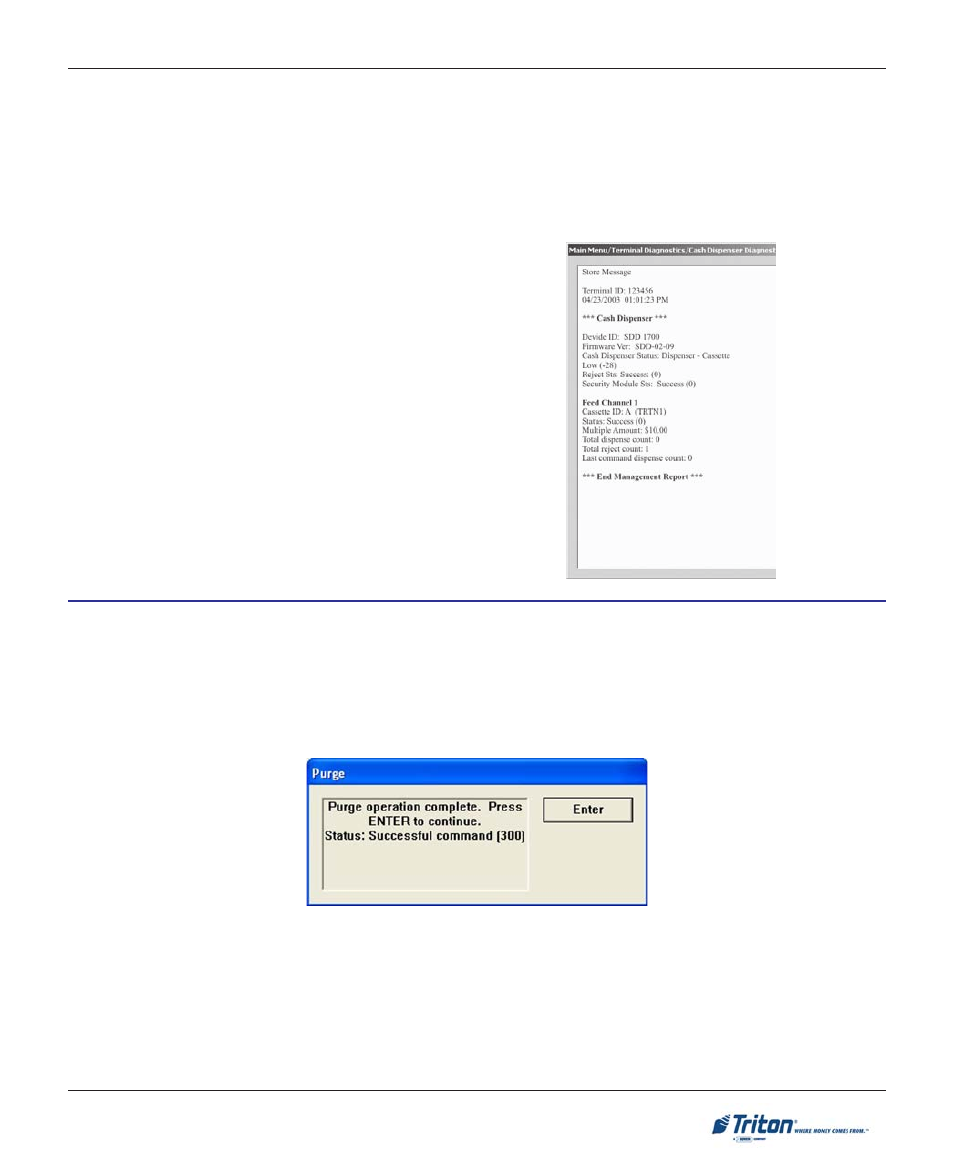 Triton X-SCALE/X2 Configuration Manual User Manual | Page 43 / 419