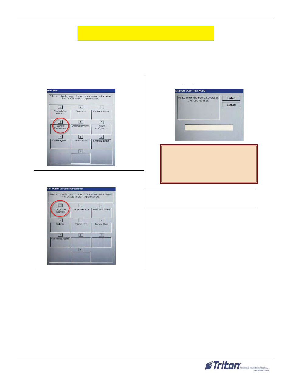Triton ARGO User Manual User Manual | Page 45 / 97