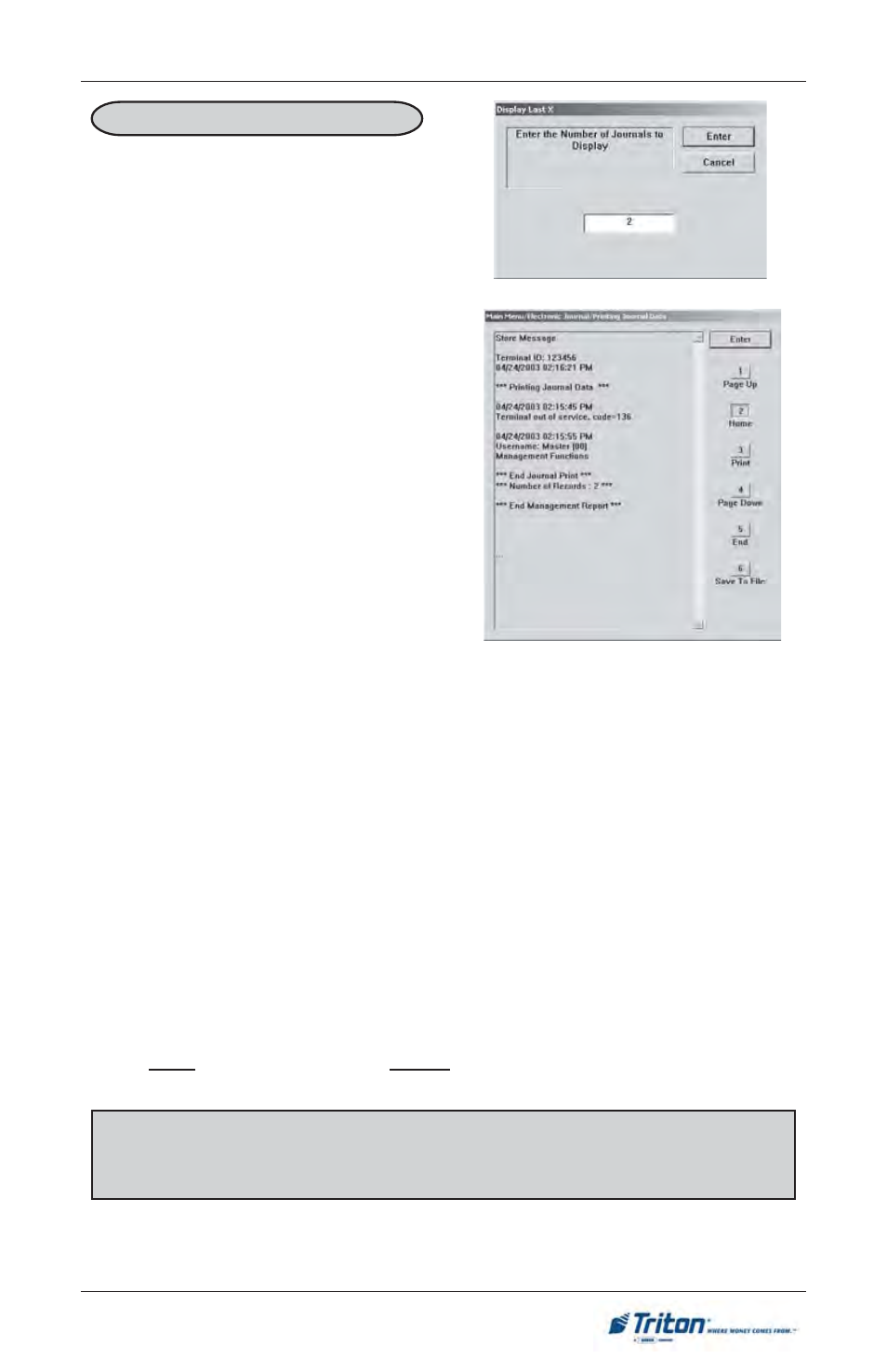 Triton RT2000 User Manual User Manual | Page 111 / 190