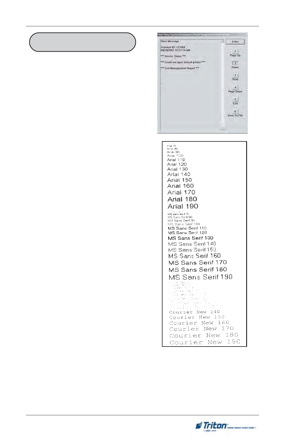 Triton FT5000 User Manual User Manual | Page 105 / 206