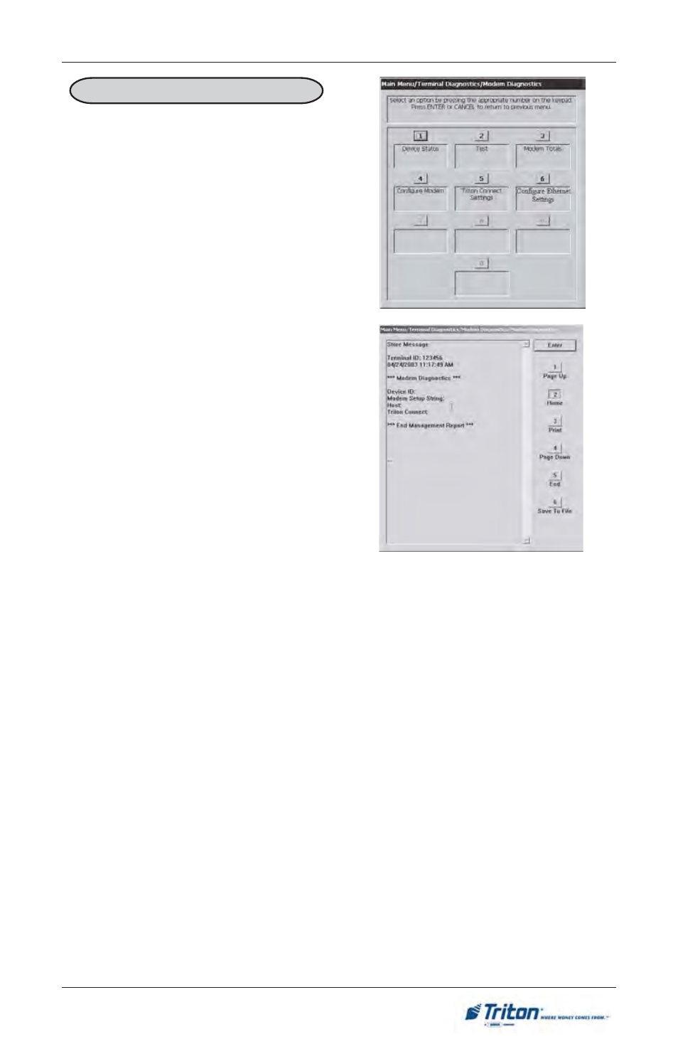 Triton FT5000 User Manual User Manual | Page 107 / 206