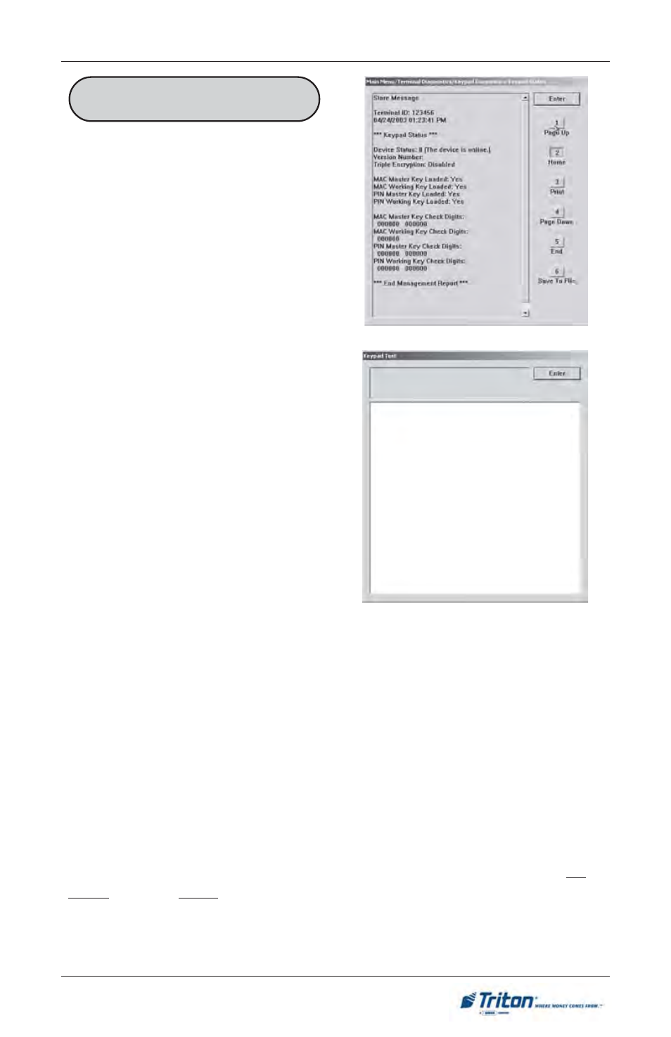 Triton FT5000 User Manual User Manual | Page 109 / 206