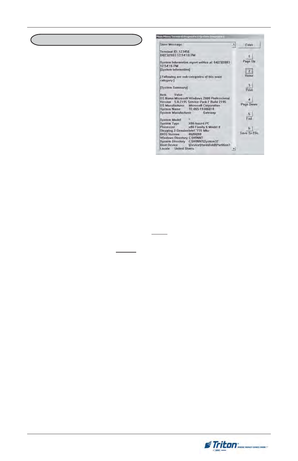 Triton FT5000 User Manual User Manual | Page 87 / 206