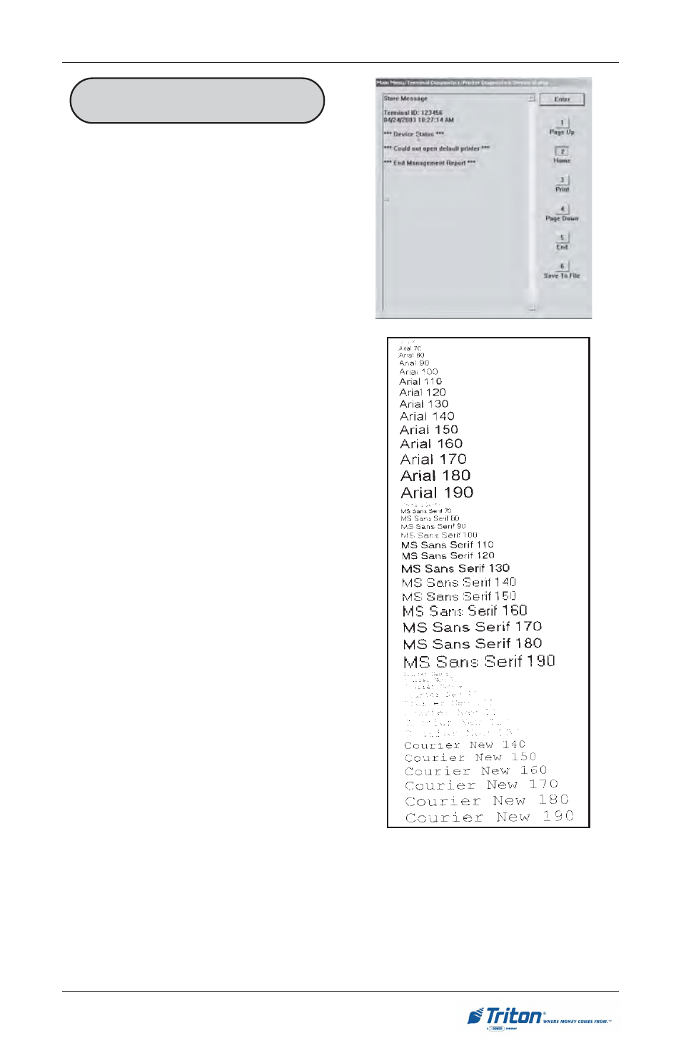 Triton RL5000 User Manual User Manual | Page 111 / 208