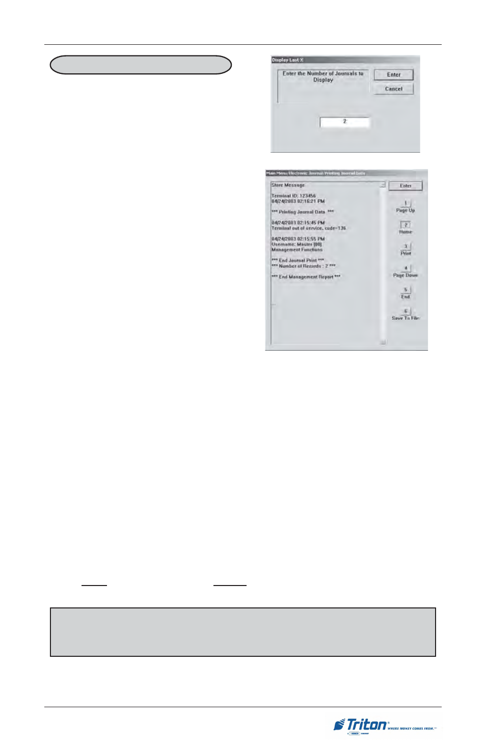 Triton RL5000 User Manual User Manual | Page 119 / 208