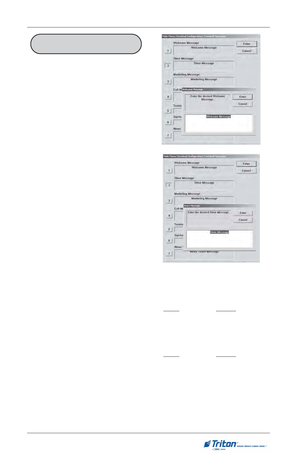 Triton RL5000 User Manual User Manual | Page 131 / 208