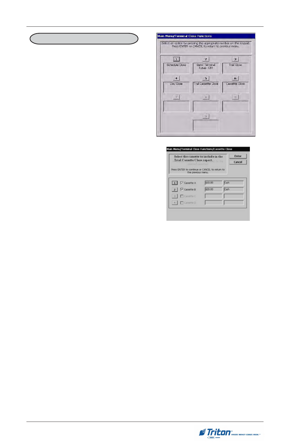 Triton RL5000 User Manual User Manual | Page 79 / 208